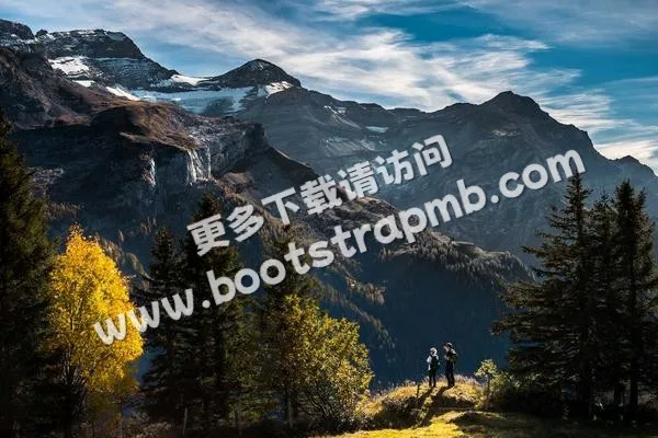 ⊞ Portfolio - 世界杯历届冠军